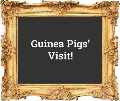 2016 - Guinea Pigs' Visit